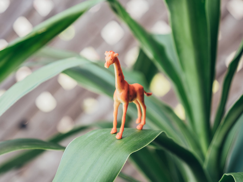 Toy giraffe standing on plant leaf